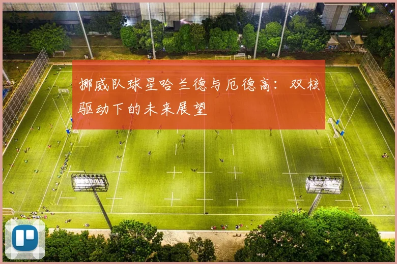 挪威队球星哈兰德与厄德高：双核驱动下的未来展望